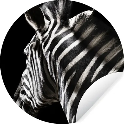 Produktbild von MuchoWow® Runde Wandtattoo - Wandsticker Tapete Aufkleber Zebra - Tier - Weiß Ø 100 cm Selbstklebend und Repositionierbar - Wandaufkleber - Kreis - Tapetenkreis - Wandbild rund - Schlafzimmerdekoration - Wanddeko - runde Tapete - Kunst für zu Hause