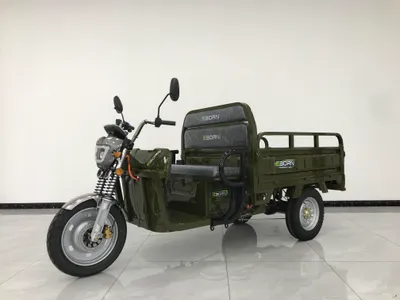 Produktbild von Eborn Cargo Cat 2-S V2 (25 km/h) - Grün