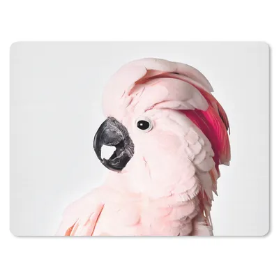 Produktbild von MuchoWow® Mauspad Mousepad Kakadu - Rosa - Tiere - Natur 23x19 cm - Mousepads - Maus Mat - Pad - Mausunterlage - Schreibtischunterlage - Mauspad