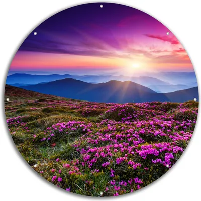 Produktbild von Wallario rundes Outdoor-Poster für Garten oder Balkon, Motiv Blumenbedeckte Wiese bei Sonnenuntergang, 60 cm Durchmesser
