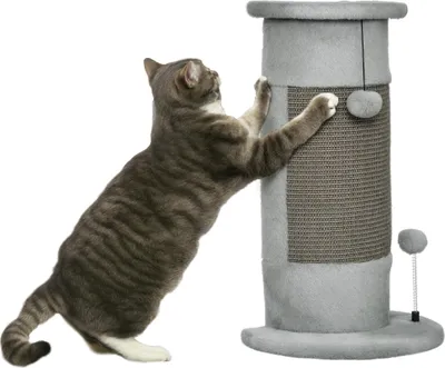 Produktbild von PawHut Kratzstamm, 58cm Kratzsäule für Katzen, Katzenkratzbaum mit Kratzball