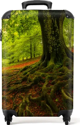 Produktbild von NoBoringSuitcases.com® Koffer Handgepäck Trolley Rollkoffer Kleine Reisekoffer mit 4 Rollen - Baum - Wald - Natur - Herbst - Grün - Cabin Size < 55x40x23 cm & 55x40x20 cm - Fotokoffer - Kabinenkoffer - BoardgepäckHandgepäck Koffer 55x35x20 cm, 36L,
