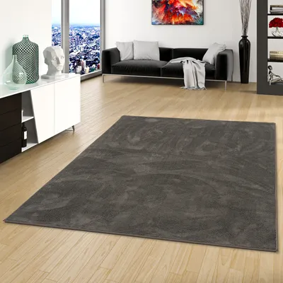 Produktbild von Luxus Super Soft Hochflor Langflor Teppich Deluxe Anthrazit, Größe:400x500 cm