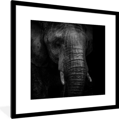 Produktbild von MuchoWow® MuchoWow® Gerahmtes Poster Elefant - Tier - Schwarz 40x40 cm - Poster mit zchwarzem Bilderrahmen - Poster - Plakat im Rahmen