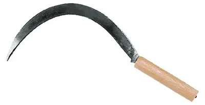 Immagine prodotto di FALCIOLA DENTATA FALCI n° 2/0 (S380/L22 mm)