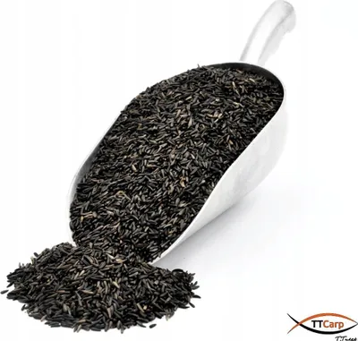 Immagine prodotto di TTCarp Nero 1 kg