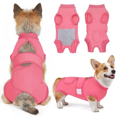 Productafbeelding van Postoperatieve Hond Bodysuit - Ademend en Verstelbaar - M