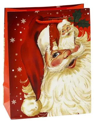 Produktbild von Geschenktüten Weihnachten 12er Pack 23x18x10cm Nikolaus K3T Mittel