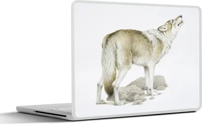 Produktbild von MuchoWow® Laptop Aufkleber Sticker Cover Wolf - Steine - Weiß 25x18 cm - Laptop-Deko