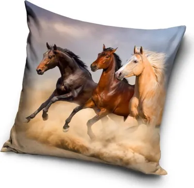 Produktbild von Pferde Pony Kissenbezug: Kissen - 40cm x 40cm