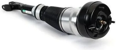 Image de Jambe de suspension pneumatique Arnott AS-3160 Avant droite