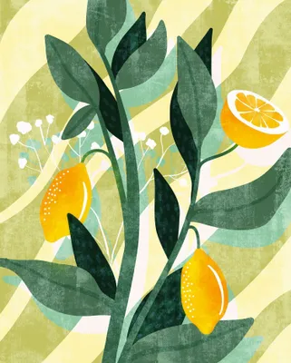 Produktbild von Komar Fototapete Obst Grün und Gelb - 611178 - 200 x 250 cm