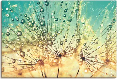 Produktbild von ARTland Leinwandbild Pusteblume Tropfenmagie Größe: 90x60 cm