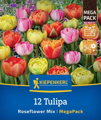 Artikelbild 2 von 'Mega-Pack Gefüllte Späte Rosentulpen Mischung (12 Stück)'