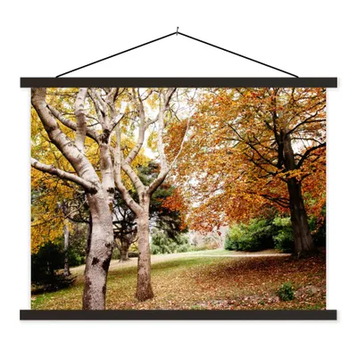 Produktbild von MuchoWow® Textilposter Herbst - Bäume - Laub - Natur 150x113 cm mit schwarzem Rahmen - Wohnzimmer