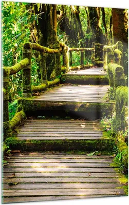Produktbild von Bilder auf glas - Einteilig - Asien natur park brücke - 50x70cm - Glasbilder - Wandbilder - Bilder - zum Aufhängen bereit - Wanddekoration aus Glas - Glas Bilder - Wandbild auf Glas - GPA50x70-2417