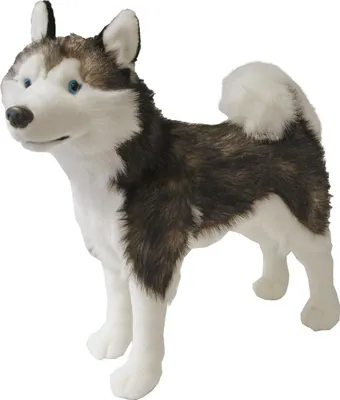 Produktbild von Plüschtier Husky stehend 53 cm