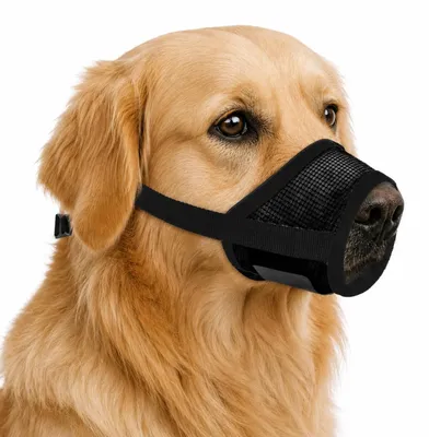Productafbeelding van Hondenmaulkorf voor Kleine en Middelgrote Honden, Verstelbaar en Ademend