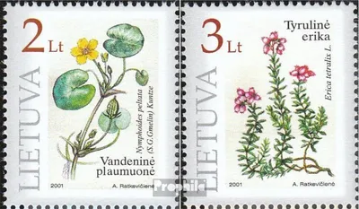 Produktbild von Briefmarken Litauen 2001 Mi 758-759 (kompl.Ausg.) postfrisch Pflanzen