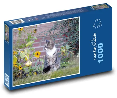 Obrázek produktu pro martinpuzzle - Puzzle 1000 - Kočka - domácí zvíře, zahrada