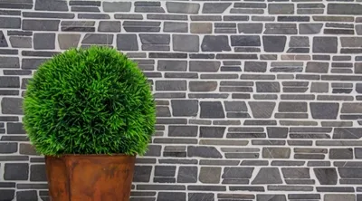 Produktbild von Handmuster Mosaik Fliese Marmor Naturstein grau anthrazit - schwarz (imprägniert) Brickmosaik Neromarquina MOS40-0210_m
