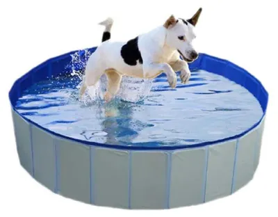 Produktbild von Duvo+ 7511760 Hundepool 80x30 Cm Durchsichtig  Durchsichtig One Size