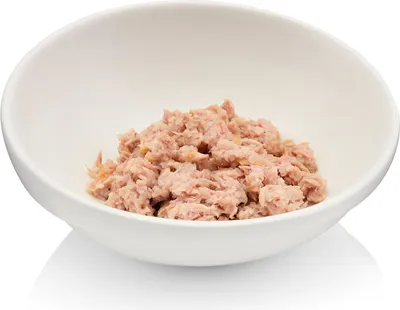 Produktbild von Napf für Futterstation mit Schale für Katzengras (Rundschale)