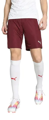 Produktbild von PUMA teamLIGA Shorts