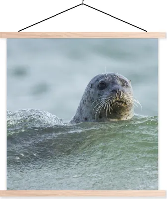 Produktbild von MuchoWow® Textilposter Nordsee - Seehund - Wasser 40x40 cm mit holzfarbenen Rahmen - Posterleiste