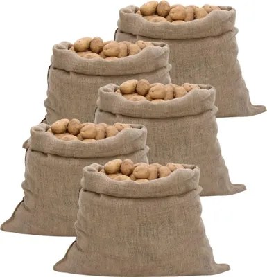 Obrázek produktu pro Jutové pytle 5 ks 100 x 110 cm 100 % juta 220 g/m²