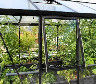 Produktbild von Seitenfenster Z o. Glas, schwarz