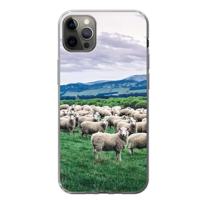 Produktbild von MuchoWow® Handyhülle Schutzhülle Hülle für iPhone 12 Pro Max Schafe - Natur - Gras Silikon Softcase Handy Hülle - Hartschale