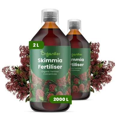 Zdjęcie produktu dla Skimmia Nawóz Płynny 2x1 L – 3-4-3 NPK – Do Skimmie – Podporuje Silne Korzenie i Stabilny Wzrost – Organifer