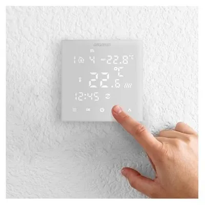 Obrázok produktu pre Auraton Pictor Ds Regulátor Teploty 2Sens