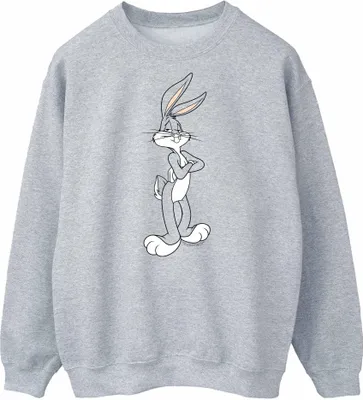 Produktbild von Looney Tunes - Sweatshirt für Damen BI50265 (S) (Grau)