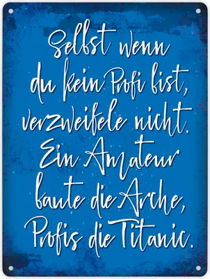 Produktbild von Metallschild XL mit Spruch: Selbst wenn du ein Profi ... Schild Blechschild