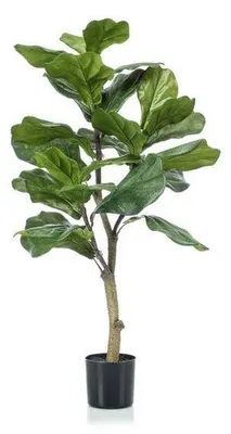 Produktbild von Ficus Lyrata Kunstpflanze Vioolfich 90 cm Immergrün