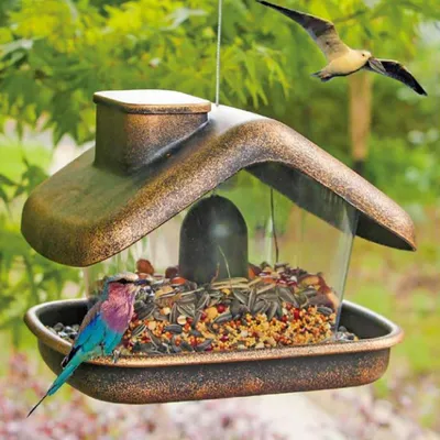 Produktbild von Vogelfutterhaus Nessa Metallic Gold