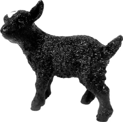 Image de Schleich Farm World Chevrette