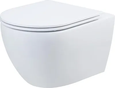 Produktbild von Primaster Wand WC spülrandlos Cerma Tiefspüler weiß inkl. WC Sitz