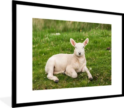 Produktbild von MuchoWow® Gerahmtes Poster Schafe - Tiere - Lamm 80x60 cm - Poster mit Schwarzem Bilderrahmen Wandposter Rahmen Foto Bilder - Schlafzimmer-Dekorationen - Fotoposter
