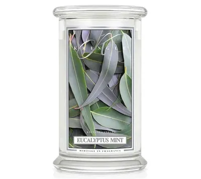 Produktbild von Kringle Candle Duftkerze Jar Large Eucalyptus Mint