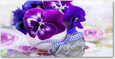 Produktbild von Tulup® Glas-Bild - 100x50 -Wandkunst - Wandbild hinter gehärtetem Sicherheitsglas  - Blumen & Pflanzen - Stiefmütterchen - Lila
