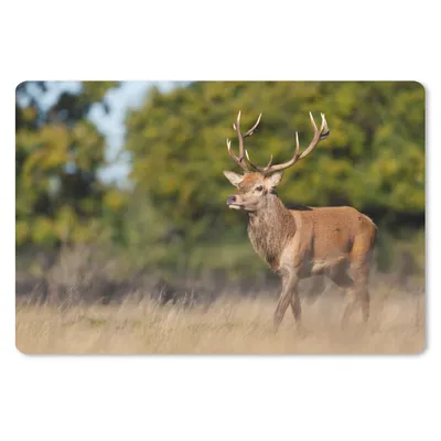 Produktbild von MuchoWow® Schreibtischunterlage Tiere - Hirsche - Geweihe - Waldtiere - Natur 60x40 cm - XXL Mauspad - Großes Mauspad