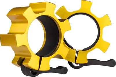 Produktbild von Lock Jaw Halsbänder, Gold, 2 Stück