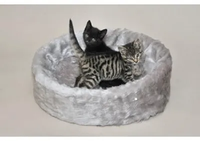 Produktbild von Cat Bonbon Ruhe- und Schlafinsel grau Katzenbett Hundebett Katzenkissen