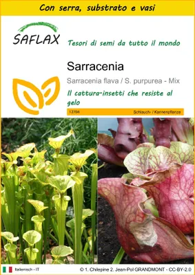 Immagine prodotto di SAFLAX Insieme di coltivazione - Sarracenia - 10 semi - Sarracenia