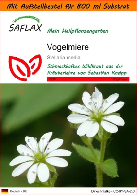 Produktbild von SAFLAX Garden in the bag - Vogelmiere - Stellaria media - 1000 Samen - Mit Anzuchtsubstrat im praktischen, selbst aufstellenden Beutel