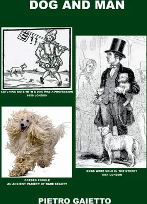 Produktbild von Dog and Man
