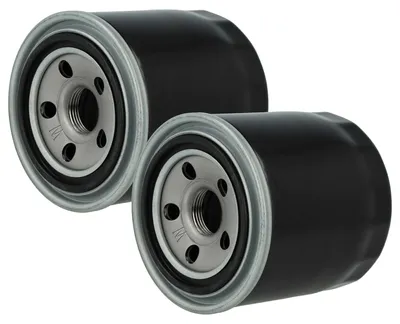 Produktbild von vhbw 2x Ölfilter Ersatz für KIOTI 4B243TLWM für
